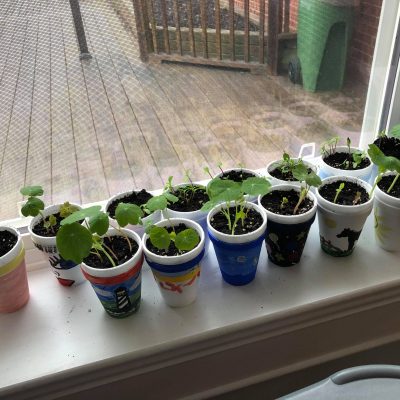 178793870_260274722462762_5471880632916095380_n